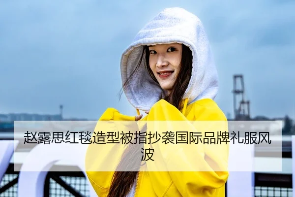 赵露思红毯造型被指抄袭国际品牌礼服风波
